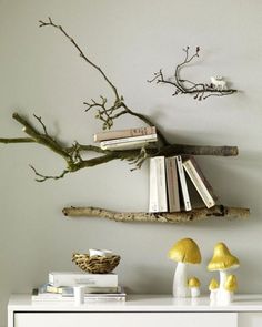 there is a shelf with books and mushrooms on it