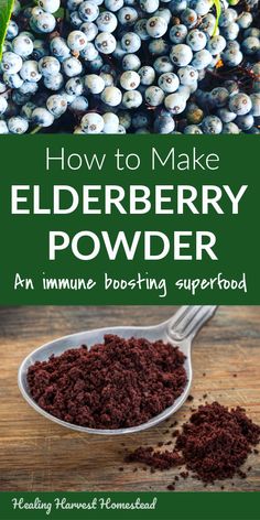 elderberry powder in a spoon with the title how to make elderberry powder