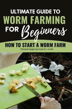 Worm Farming for Beginners Worm Farming Diy, Worm Farming For Profit, How To Start A Worm Farm, Cricket Farm, Composting For Beginners, Cricket Farming