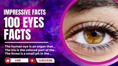 eye facts eyes psychology facts wide eyes facts facts of eyes psychology facts of eyes amazing facts of eyes facts about eyes facts about eyes in english amazing facts about eyes Human Eye, Amazing Facts, Facts About, Psychology