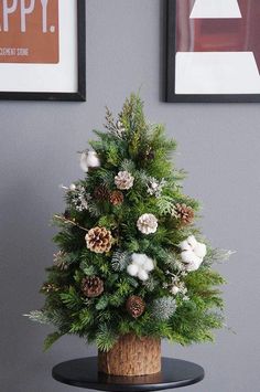 a potted christmas tree sitting on top of a table next to two framed pictures