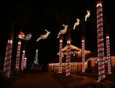 christmas lights are lit up in front of a house with santa's sleighs on it