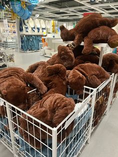 several large teddy bears sitting in baskets on the floor