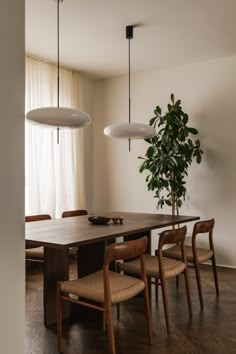 a dining room table with chairs and a potted plant in the corner on one side