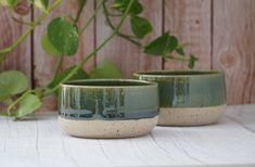 two green and white bowls sitting on top of a table next to a potted plant