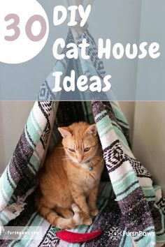 an orange cat sitting in a tent with the words 30 diy cat house ideas