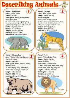 an animal fact sheet with pictures of different animals