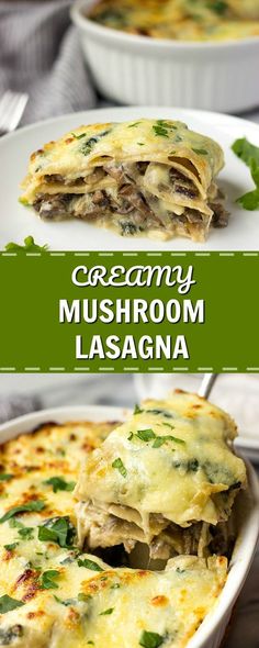 creamy mushroom lasagna in a white casserole dish on a green and white plate