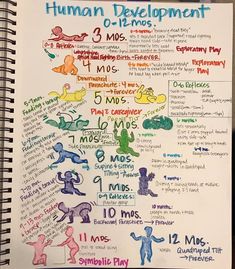 Idk if you have kids this small but this could help give you a better understanding of what they’re capable of at certain ages • probably help you plan activities better lol Occupational Therapy Projects Student, Occupational Therapy Room Organization, Physical Therapy Assistant Student Study, Pediatric Occupational Therapy Interventions, Occupational Therapy Assistant Student, Physical Therapy Notes, Occupational Therapy School Based, Pediatric Occupational Therapy Aesthetic, Physical Therapy Student Study