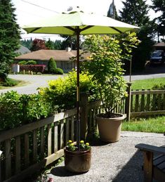 an open umbrella sitting on top of a wooden fence next to flowers and potted plants