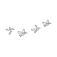 three birds are flying in the sky together