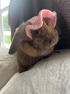 a brown rabbit wearing a pink hat on top of it's head sitting on a bed