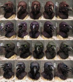 many black crows with green eyes and beaks are shown in multiple rows, all facing the same direction