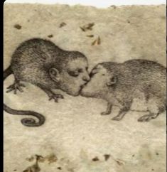 two small mouses are touching each other's noses in front of an old paper background