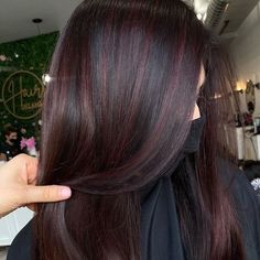 Dark Brown Hair With Red Lowlights, Red Highlights In Brown Hair, Red Balayage Hair, Purple Balayage, Red Hair With Highlights, Highlights Curly, Haircut Inspo, Dark Brunette Hair