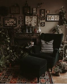 a living room filled with lots of plants and furniture