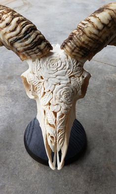 an animal's skull with long horns is shown on a black stand in front of a concrete floor