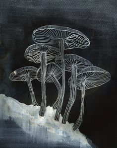 three mushrooms are shown on a black and white background, one is drawn by hand