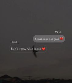 two conversation bubbles with the words heart, situation is not good and don't worry, allaah knows