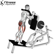 the back view of a man doing an incline machine