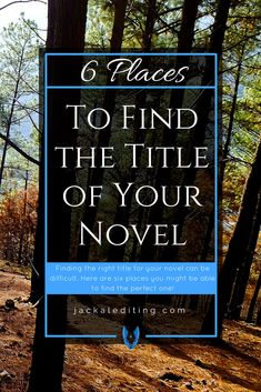 a forest with trees and the words 6 places to find the title of your novel