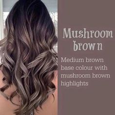 hair, human hair color, hairstyle, blond, long hair, Mushroom Brown Highlights, Mushroom Brown, Latest Hair Color, Brown Hair Balayage, Brown Highlights, Brown Blonde Hair, Hair Color Balayage, Hair Inspiration Color