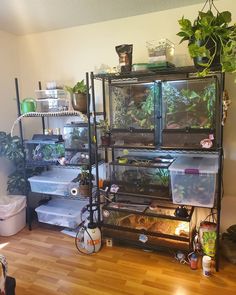 a room filled with lots of different types of plants and containers on top of shelves