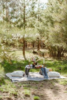 a picnic in the woods on a blanket with food and drinks laid out on it