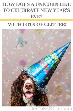 a dog wearing a party hat with the caption how does a unicorn like to celebrate new years eve? with lots of glitter