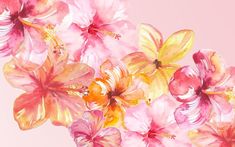 pink and yellow flowers are in a vase on a pink background with watercolor effect