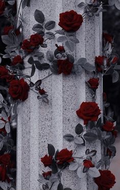 red roses are growing on the side of a pillar with silver and white stripes in the background