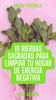 Si te sientes sin inspiración, que estás demasiado cansada, o apagada, un ritual de limpieza puede ser justo lo que necesitas para limpiar cualquier energía… San Rafael, Feng Shui, Chakra