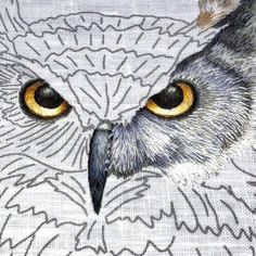 an owl's eyes are shown in this embroidery pattern, which has been drawn on fabric