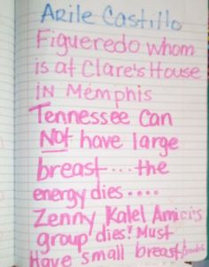 an open notebook with writing on it in pink and blue ink that reads, ariele castle