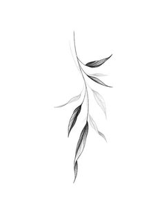 a black and white drawing of leaves