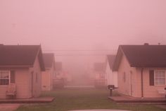 houses in the fog on a residential street