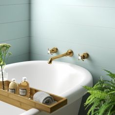 a bathtub with soap and lotion in it next to a potted plant