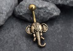 an elephant belly ring is sitting on some rocks