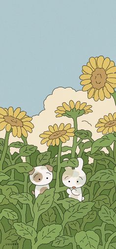 two cats are standing in the middle of a field of sunflowers and one cat is looking up at the sky