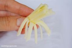 a hand holding a small piece of food in it's palm