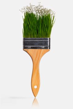 a wooden brush with grass growing out of it's head on a white background