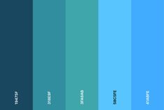 the color palette is blue and green