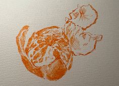 an orange flower drawn on white paper