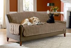 a dog laying on top of a couch next to a fire place in a living room