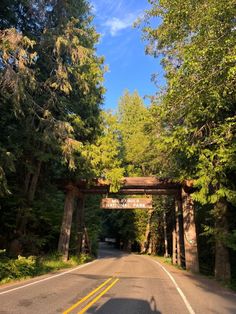 a car driving under an overpass in the middle of a forest with tall trees