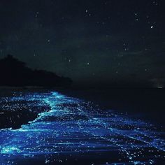 Blue Aesthetic Dark, Bawah Air, Sea Of Stars, Pretty Photos, الرسومات اللطيفة, Blue Aesthetic, Blue Ocean, Night Sky