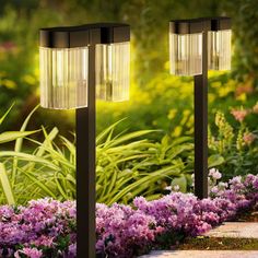 two lights in the middle of a garden with purple flowers and grass behind them on either side