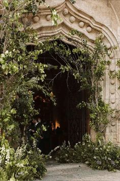 the entrance to an old building with vines growing around it