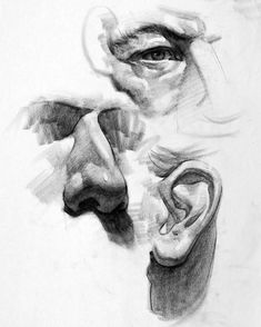 a pencil drawing of an ear and nose