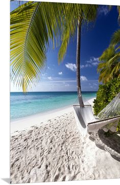 a hammock hanging from a palm tree on the beach